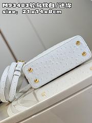 Louis Vuitton LV Mini Capucines Ostrich White 21cm - 4