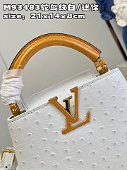 Louis Vuitton LV Mini Capucines Ostrich White 21cm - 2