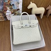 Hermes Birkin Ostrich White Silver Hardware 25cm - 1