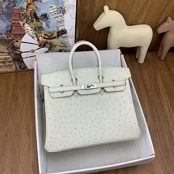 Hermes Birkin Ostrich White Silver Hardware 25cm