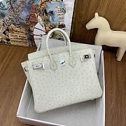 Hermes Birkin Ostrich White Silver Hardware 25cm - 5