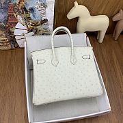 Hermes Birkin Ostrich White Silver Hardware 25cm - 2