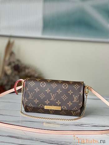 Louis Vuitton LV Small Favorite Monogram 24x14x4cm