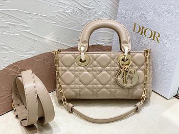 Dior Lady D-joy Bag Beige Gold 22x13x4cm