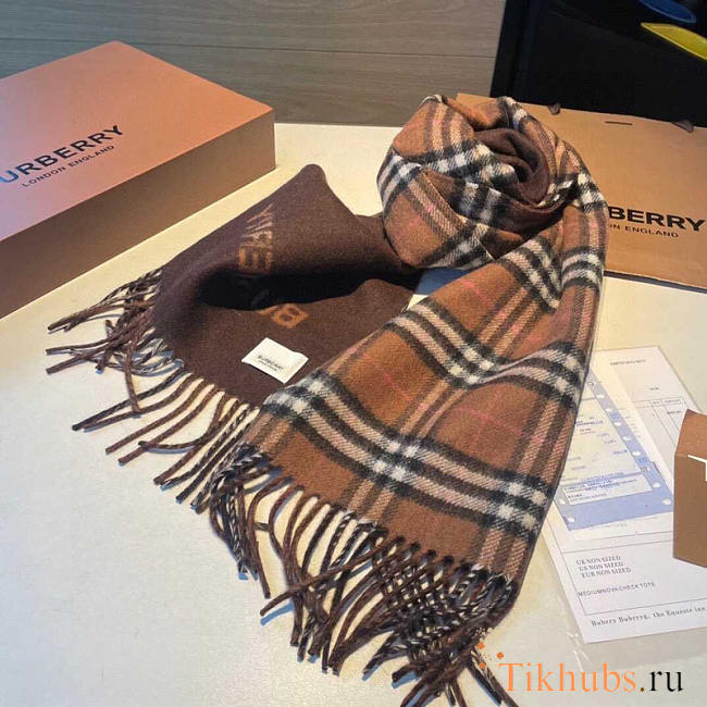 Burberry Reversible Check Cashmere Scarf Brown 168x30cm - 1