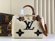 Louis Vuitton LV Speedy Bandoulière 25 Cream/Brown Shearling 25 x 19 x 15 cm - 1