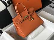 Hermes Birkin Togo 25 Orange Gold Hardware 25cm - 2