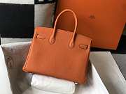 Hermes Birkin Togo 25 Orange Gold Hardware 25cm - 4