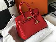 Hermes Birkin Togo 25 Red Gold Hardware 25cm - 6