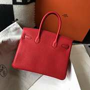 Hermes Birkin Togo 25 Red Gold Hardware 25cm - 2