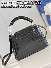 Louis Vuitton LV Mini Capucines Crocodile Black 21cm - 6