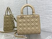 Dior Medium Lady Bag Beige Gold 24cm - 2