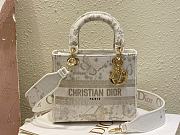 Dior Medium Lady D-Lite Bag Gold-Tone and White Butterfly 24 x 20 x 11 cm - 1