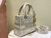 Dior Medium Lady D-Lite Bag Gold-Tone and White Butterfly 24 x 20 x 11 cm - 2