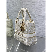 Dior Medium Lady D-Lite Bag Gold White Butterfly Around The World 24x11x20cm - 6