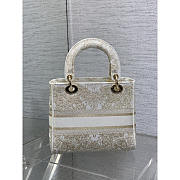 Dior Medium Lady D-Lite Bag Gold White Butterfly Around The World 24x11x20cm - 5