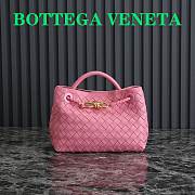 Bottega Veneta Small Andiamo Pink 25x22x10.5cm - 1