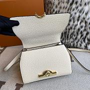 Moynat Rejane BB White Gold 20 x 8 x 21 cm - 6