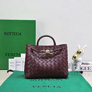 Bottega Veneta Small Andiamo Red Wine 25x22x10.5cm - 1