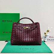 Bottega Veneta Medium Andiamo Red Wine 32.5x24x12cm - 1