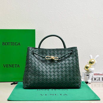 Bottega Veneta Medium Andiamo Dark Green 32.5x24x12cm