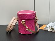 Louis Vuitton LV Astor Neon Pink 12 x 14.2 x 12 cm - 3