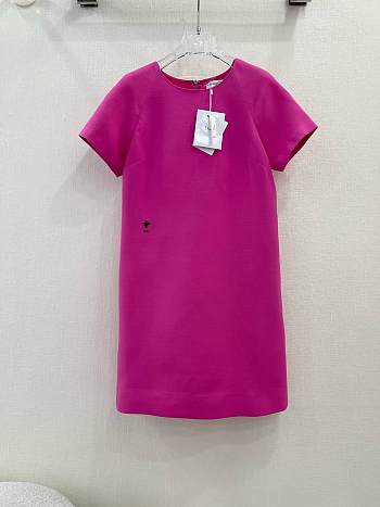 Dior Straight Dress Rani Pink