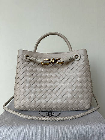 Bottega Veneta Small Andiamo Grey 25x22x10.5cm