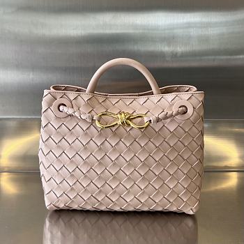 Bottega Veneta Small Andiamo Light Pink 25x22x10.5cm