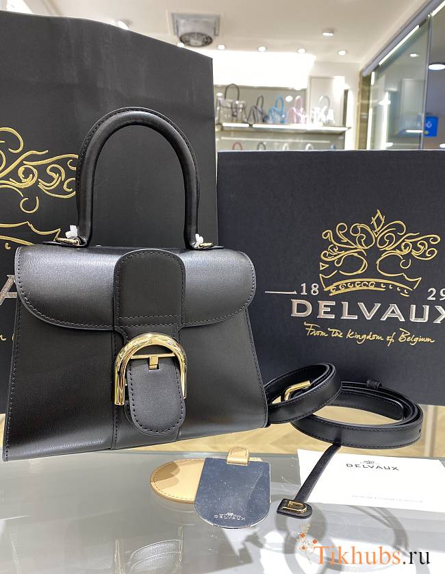 Delvaux Brillant Mini in Box Calf Black 20x12x15cm - 1