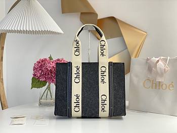 Chloe Medium Woody Tote Bag Recycled FeltShiny Calfskin Gray 37x26x12cm