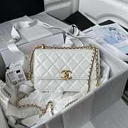 Chanel Woc Wallet On Chain Gold Small Vintage Bag White 22x14.5x8cm - 1