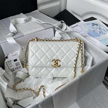 Chanel Woc Wallet On Chain Gold Small Vintage Bag White 22x14.5x8cm