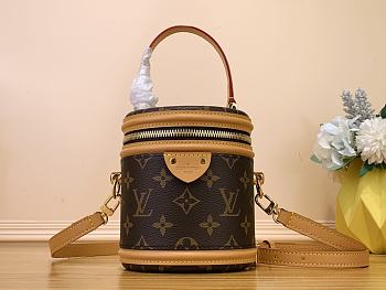 Louis Vuitton LV Nano Cannes Monogram Brown 14.5 x 14 x 12 cm