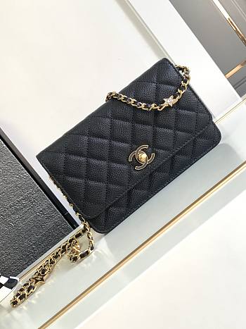 Chanel Wallet On Chain Woc Black Caviar 19cm