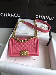 Chanel Leboy Bag Small Pink Lambskin Gold 20cm - 1