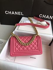 Chanel Leboy Bag Small Pink Lambskin Gold 20cm - 5