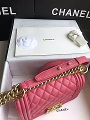 Chanel Leboy Bag Small Pink Lambskin Gold 20cm - 2