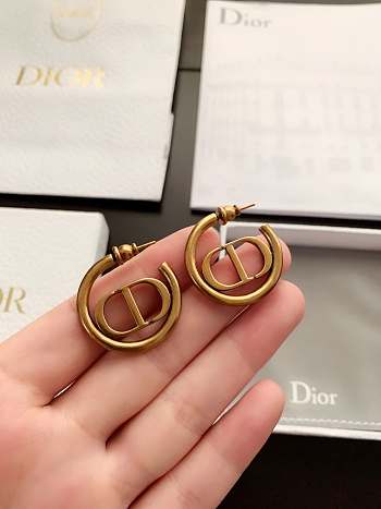 Dior Hoop Earrings