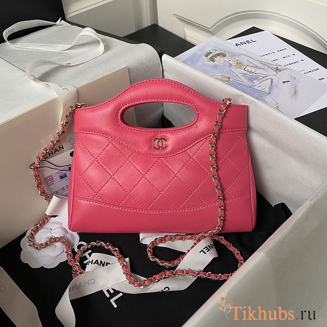 Chanel Nano 31 Pink Bag 20.5x17.5cm - 1