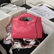 Chanel Nano 31 Pink Bag 20.5x17.5cm - 1