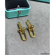 Tiffany Earings Metal Gold - 1