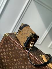 Louis Vuitton LV Side Trunk PM 18 x 12.5 x 8 cm - 4