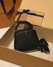 Louis Vuitton LV Capucines Mini Black Ostrich 21cm - 1