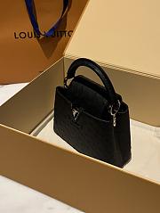 Louis Vuitton LV Capucines Mini Black Ostrich 21cm - 2