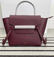 Celine Nano Belt Bag Grained Calfskin Red Wine 20x20x10cm - 1