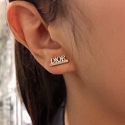 Dior Earrings - 2