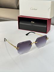 Cartier Sunglasses - 2