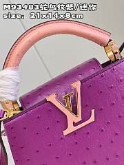 Louis Vuitton LV Mini Capucines Purple Ostrich 21x14x8cm - 2