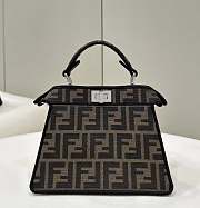 Fendi Peekaboo ISeeU Petite Bag 20x11x15cm - 2